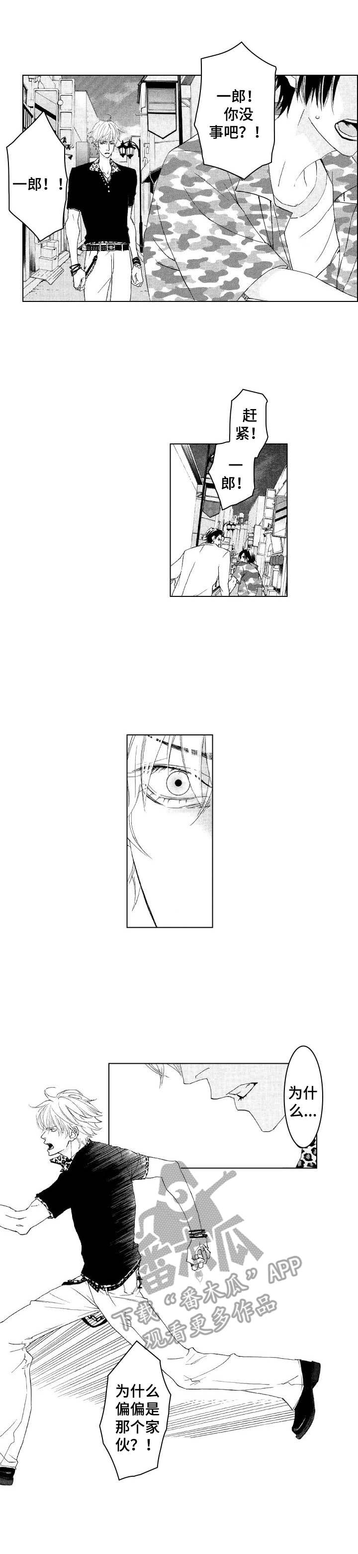 代号哈依漫画,第17章：冲突4图