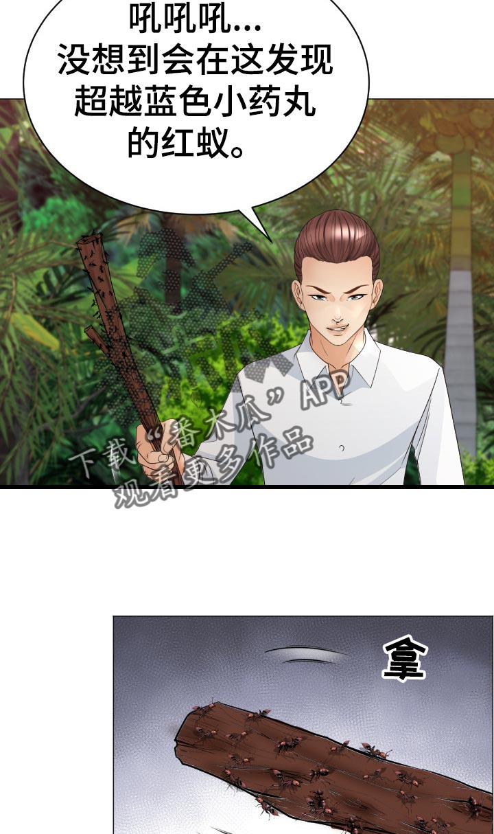 高丽国际公寓漫画,第70章：蚂蚁的功效4图