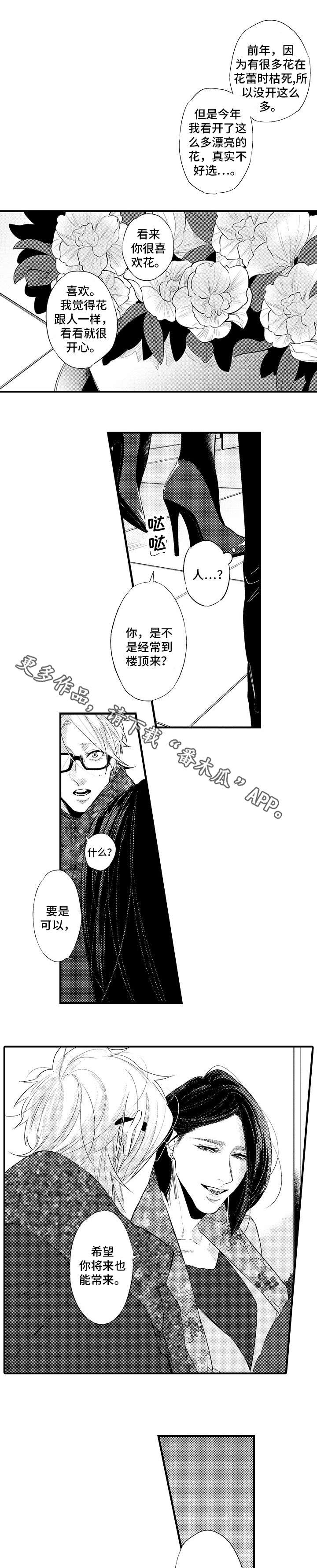 花香电视剧漫画,第19章：礼物4图