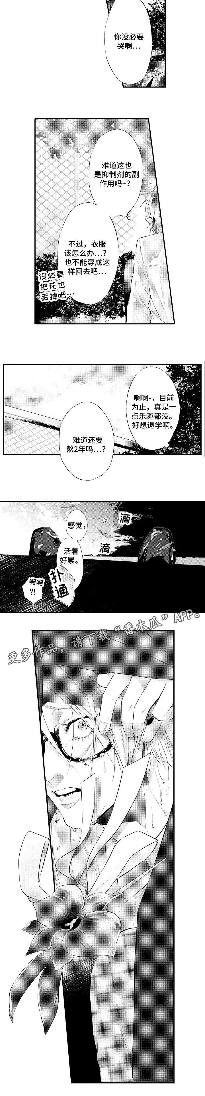 花香信息素和什么味道匹配?漫画,第3章：烦人1图