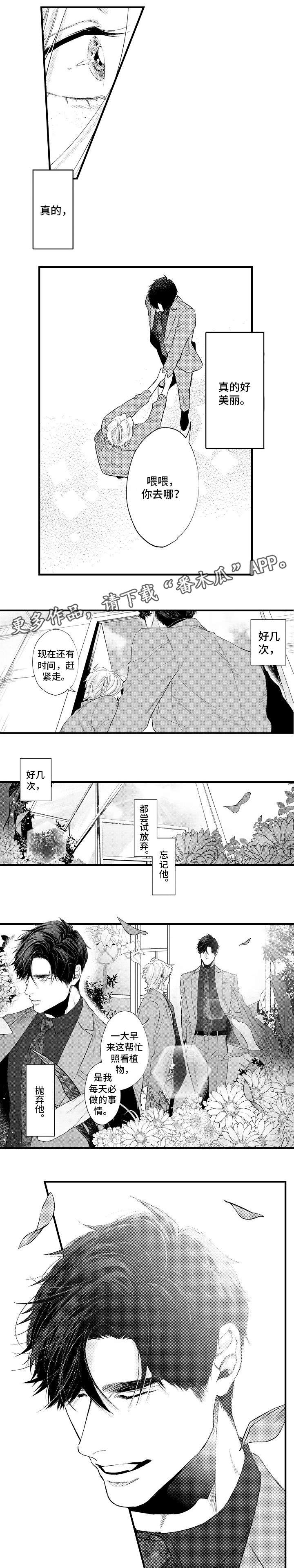 花香5漫画,第31章：永远在身边（完结）1图
