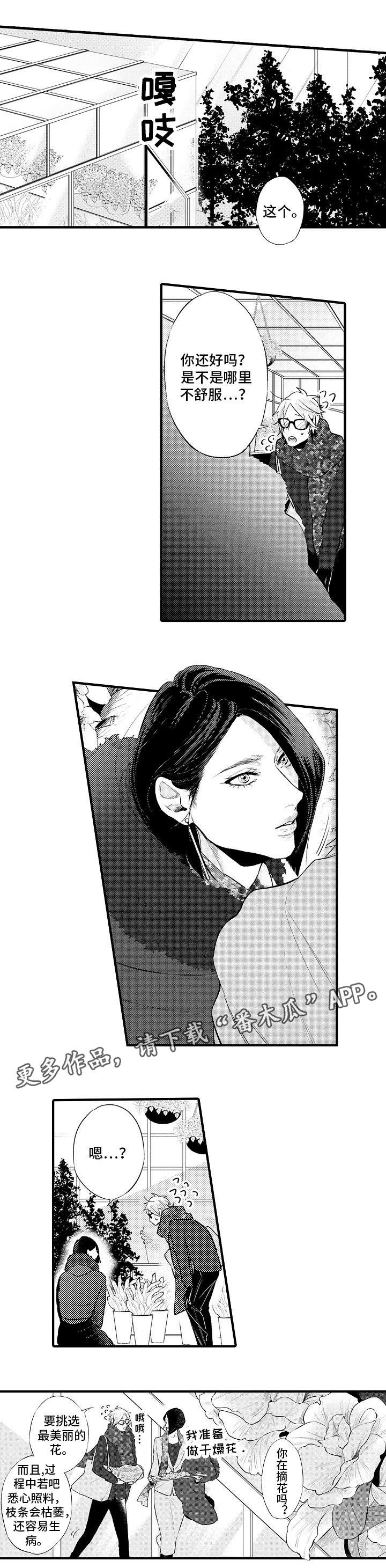 花香电视剧漫画,第19章：礼物3图