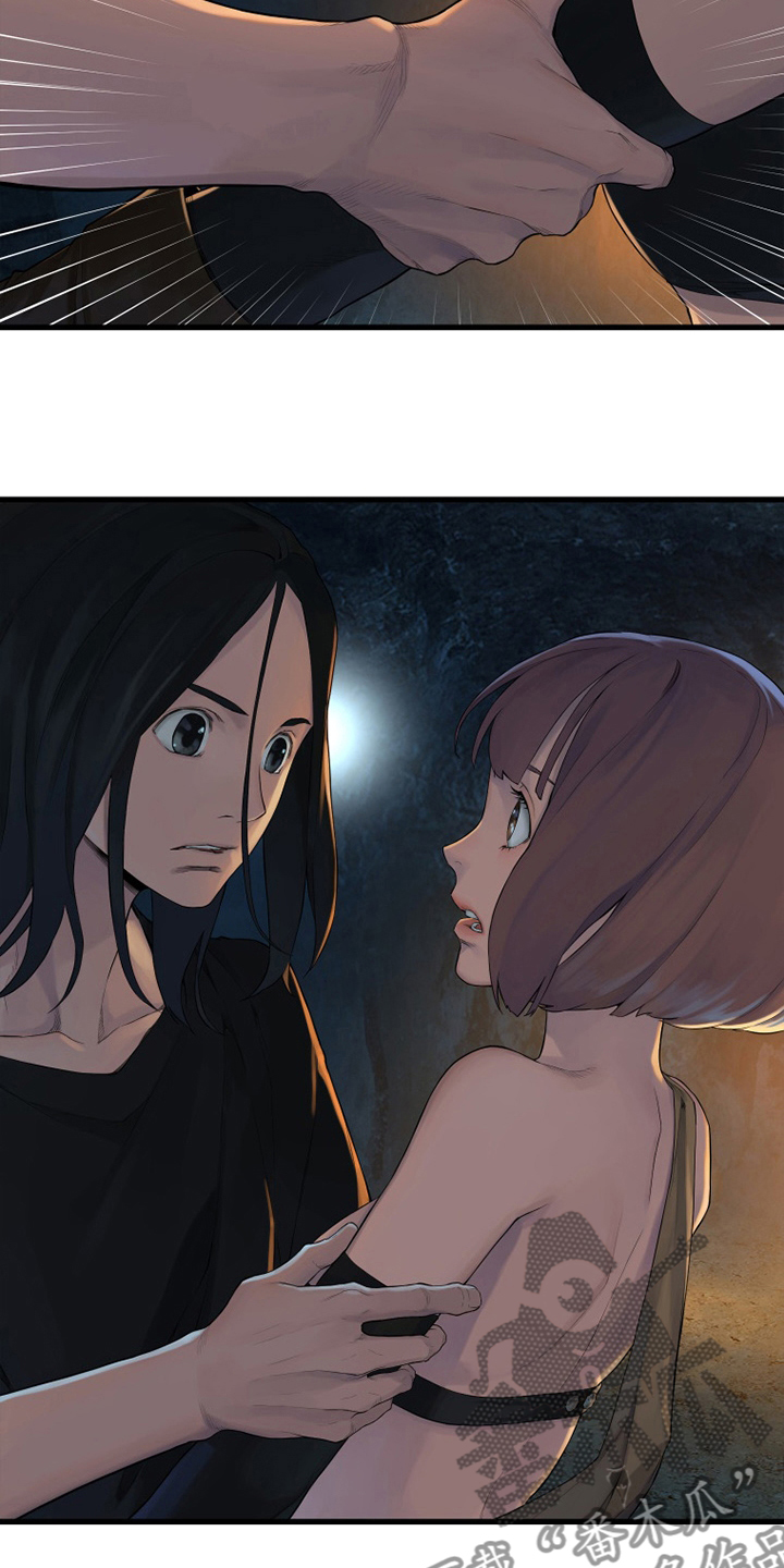 灰羽苍兽平民打法漫画,第131章：委托4图