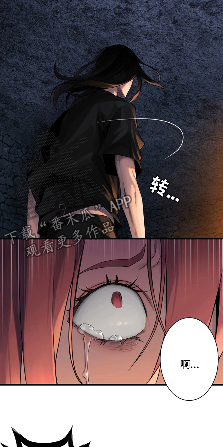 苍术的图片漫画,第88章：伟大4图