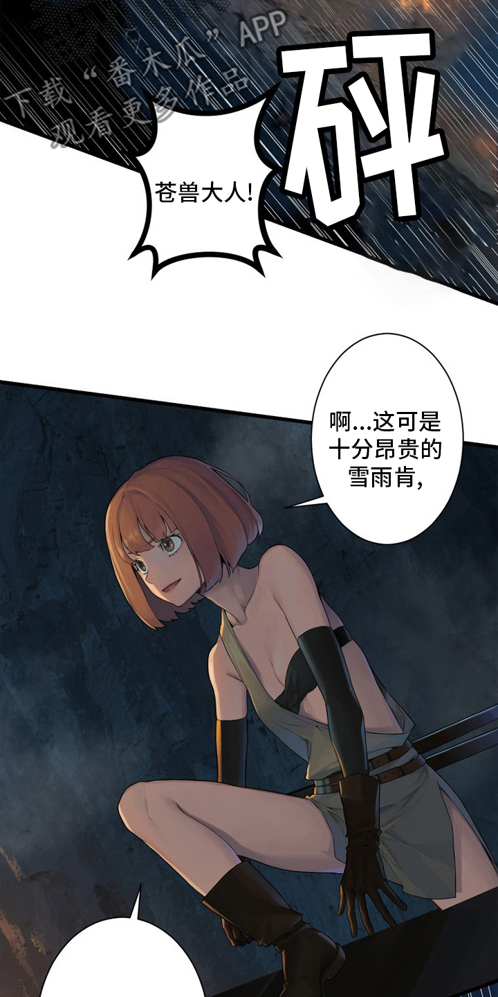 灰羽苍兽平民打法漫画,第131章：委托5图