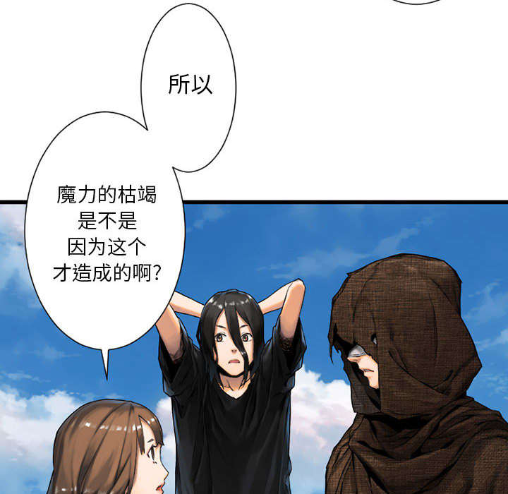 苍兽怎么打漫画,第46章：面圣2图