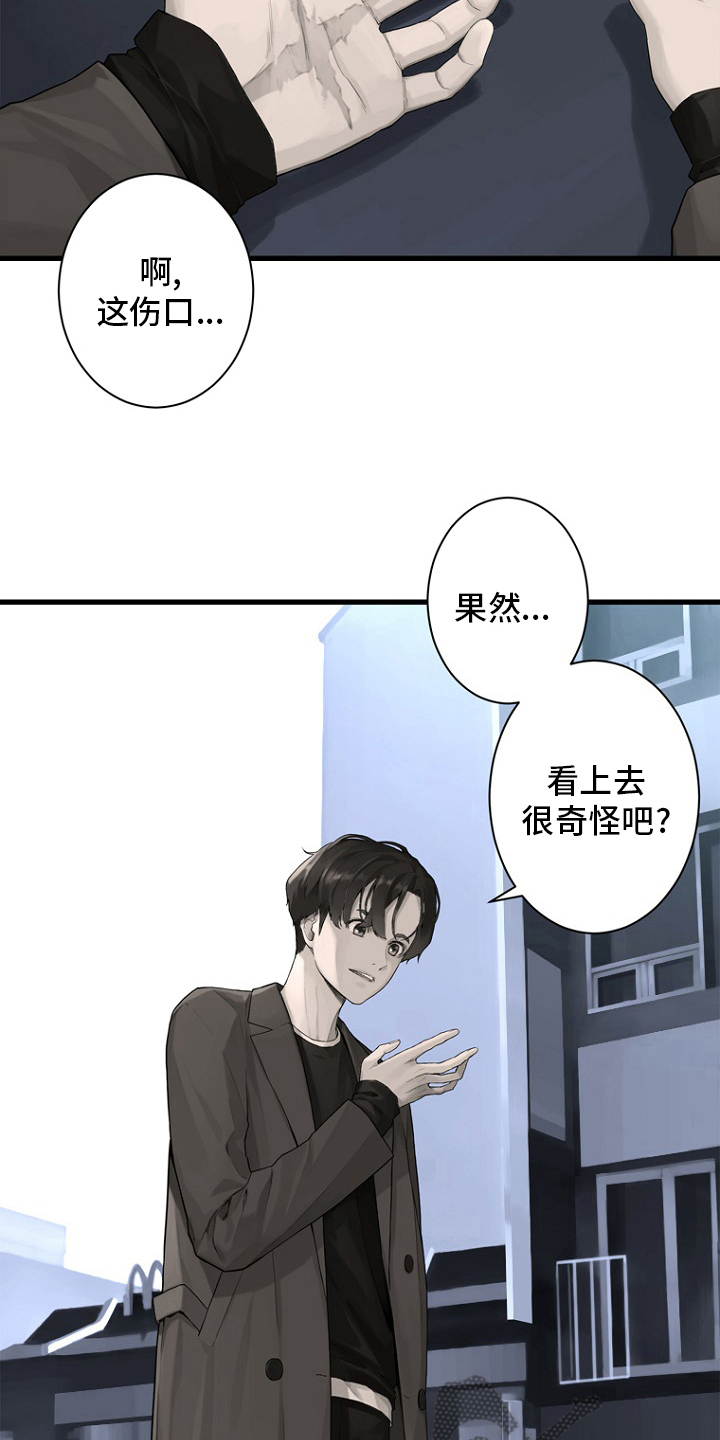 苏沐瑶到苍兽大陆漫画,第184章：过去了4图