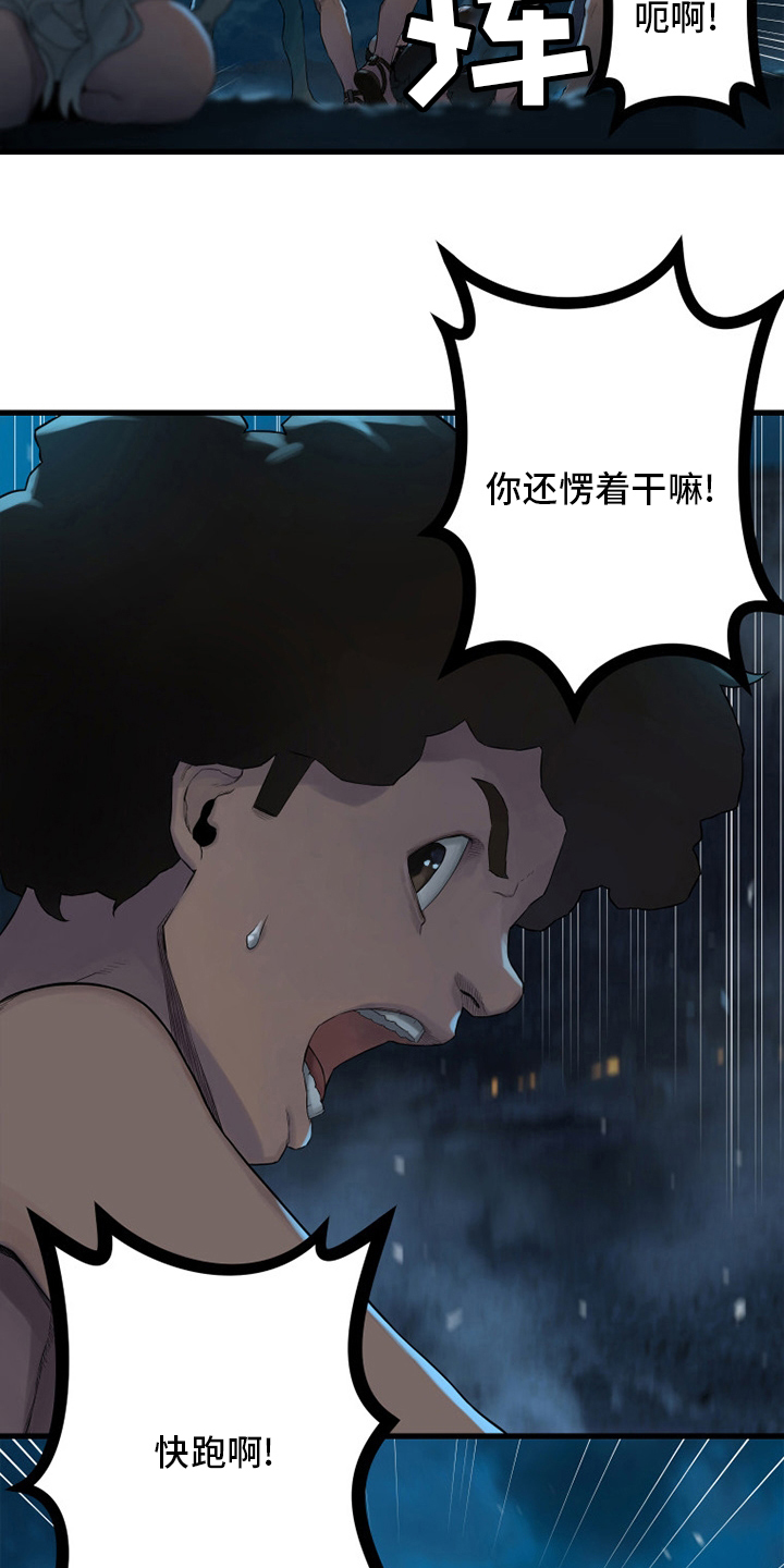 苍术的图片漫画,第129章：食物5图