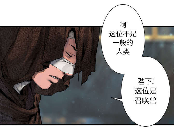 苍兽大人是韩漫吗漫画,第47章：阴谋2图