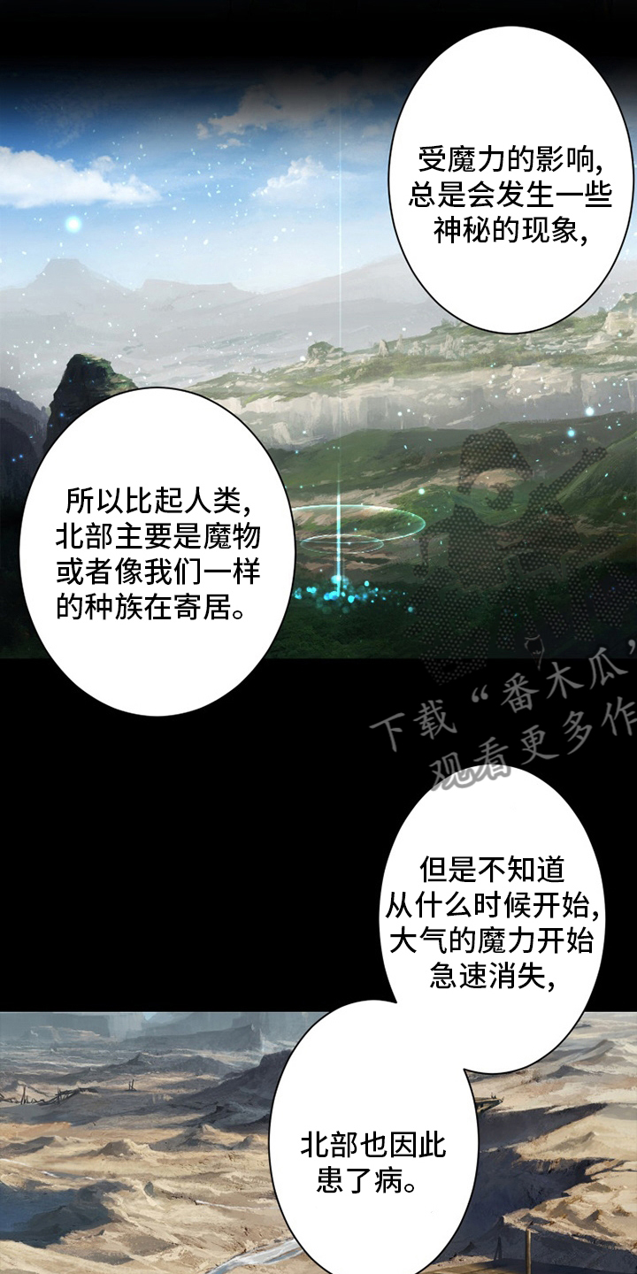 苍兽怎么打漫画,第132章：谎言1图
