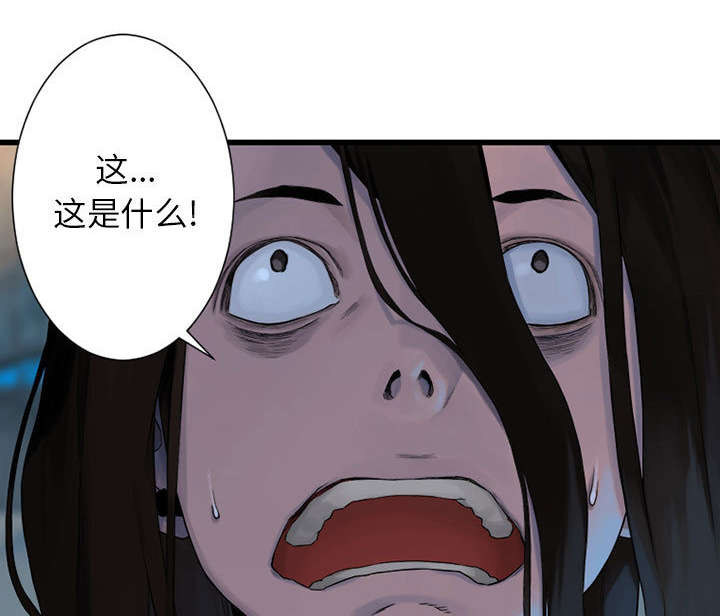 苍兽怎么打漫画,第46章：面圣2图