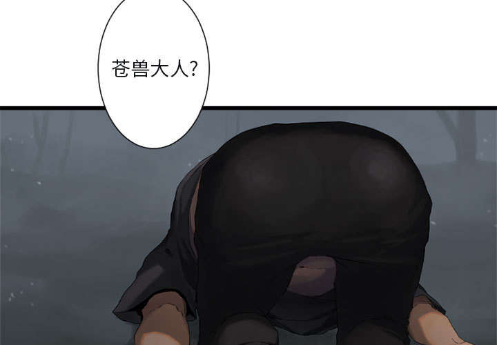 苍兽怎么打漫画,第12章：不堪一击4图