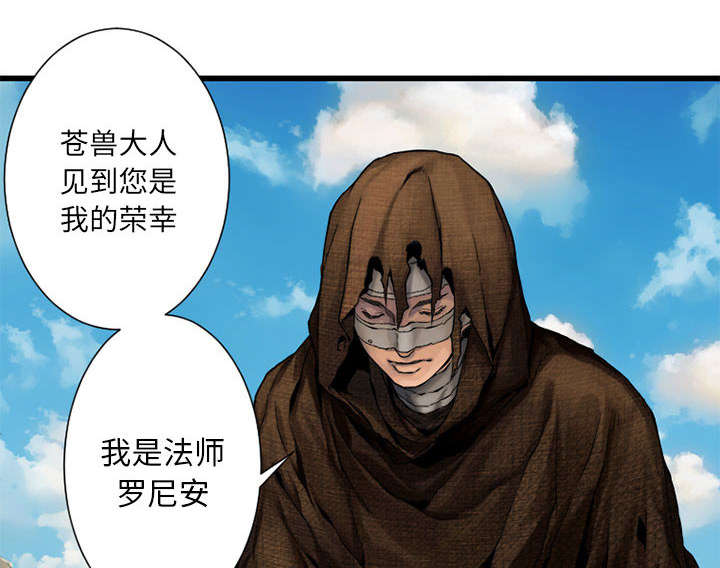 苍兽大人漫画,第45章：前途无岸5图