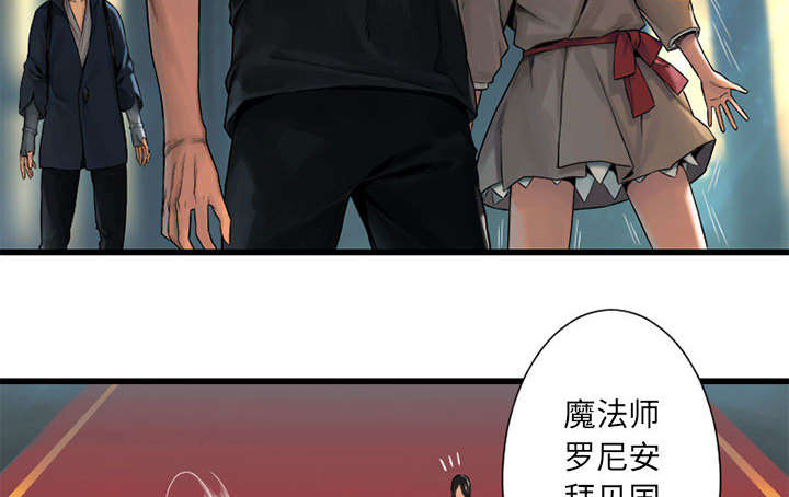 苍兽怎么打漫画,第46章：面圣4图