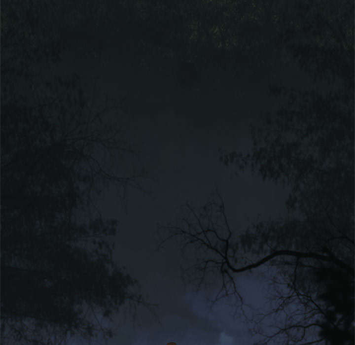 苍兽大陆神秘部落漫画,第6章：压抑的家庭3图