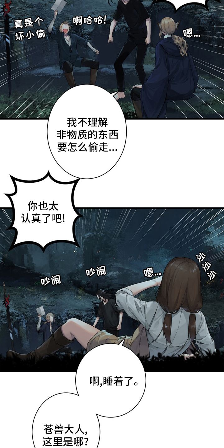 苍耳子泡脚的功效漫画,第161章：坏小偷1图