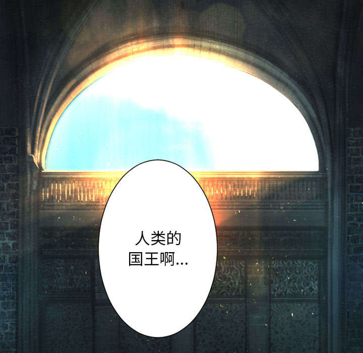 苍耳子泡脚的功效漫画,第47章：阴谋1图