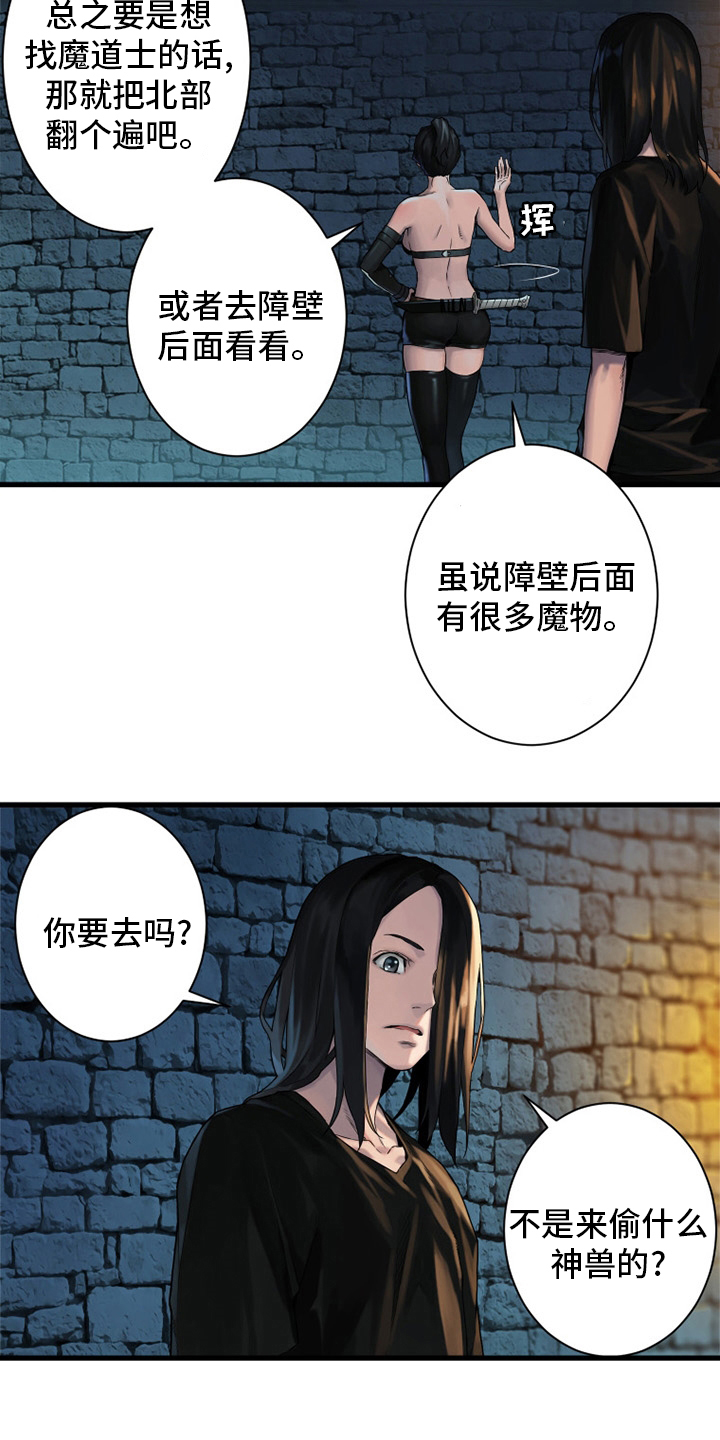 灰羽苍兽平民打法漫画,第113章：障壁后面1图