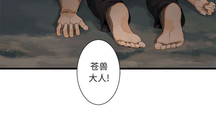 苍兽怎么打漫画,第12章：不堪一击5图