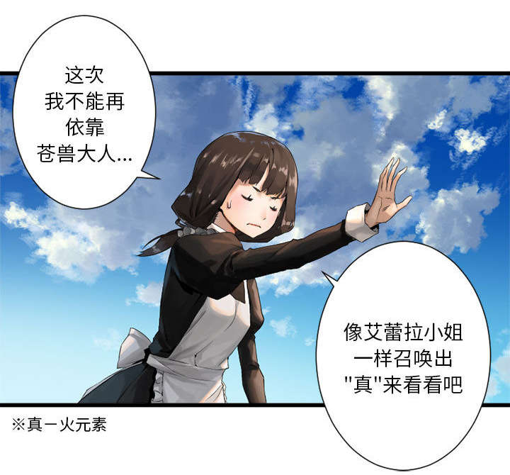 苍兽大陆剧情漫画,第22章：到来的魔法师5图