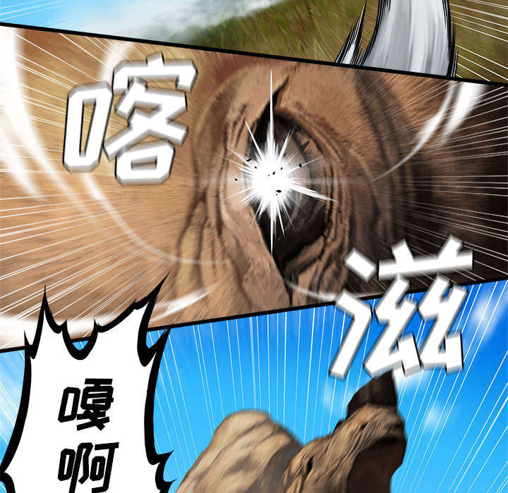 苍狼1集到46集免费看漫画,第53章：高手5图