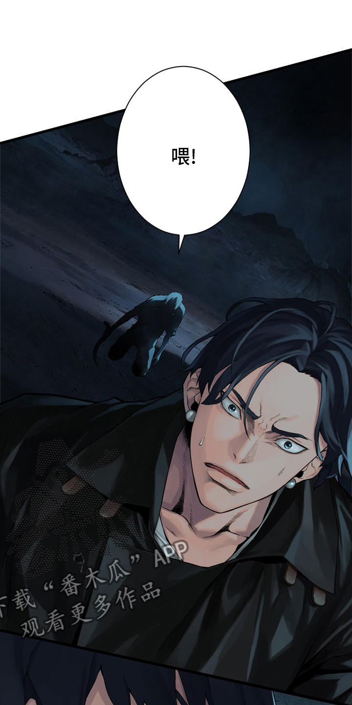 苍兽大人漫画,第94章：研究日记4图