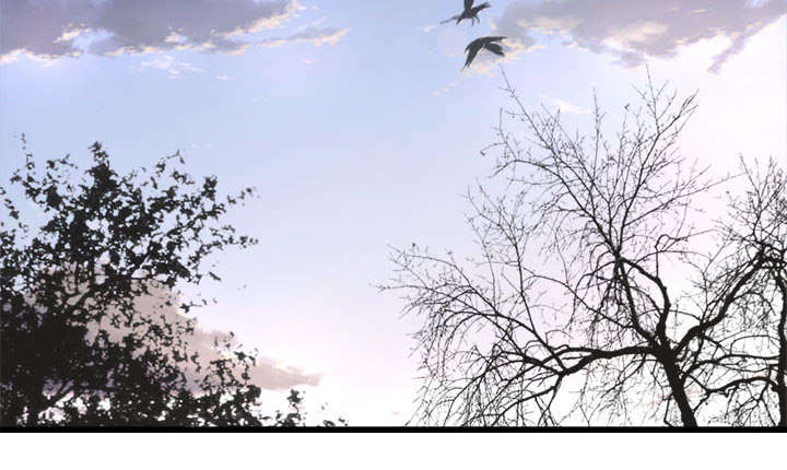 灰羽苍兽平民打法漫画,第21章：被袭击的田地3图