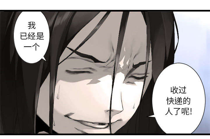灰羽苍兽介绍漫画,第19章：又有快递了3图