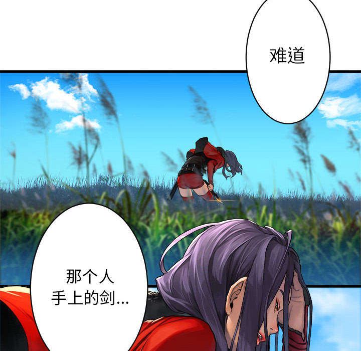 苍兽大人是韩漫吗漫画,第53章：高手5图