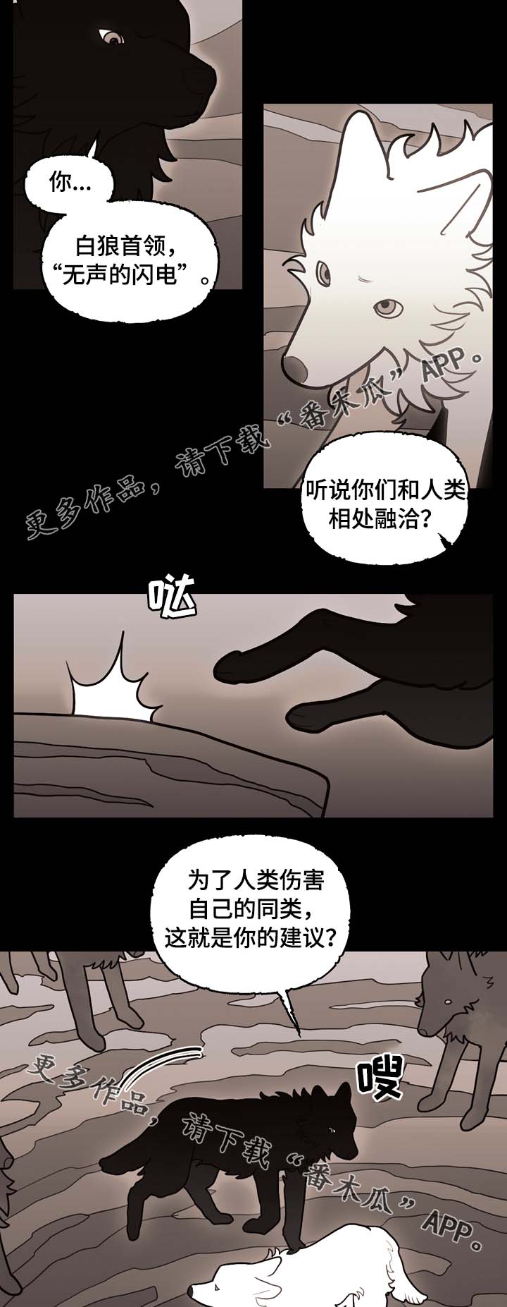 拯救神父漫画,第66章：狼族秘辛2图