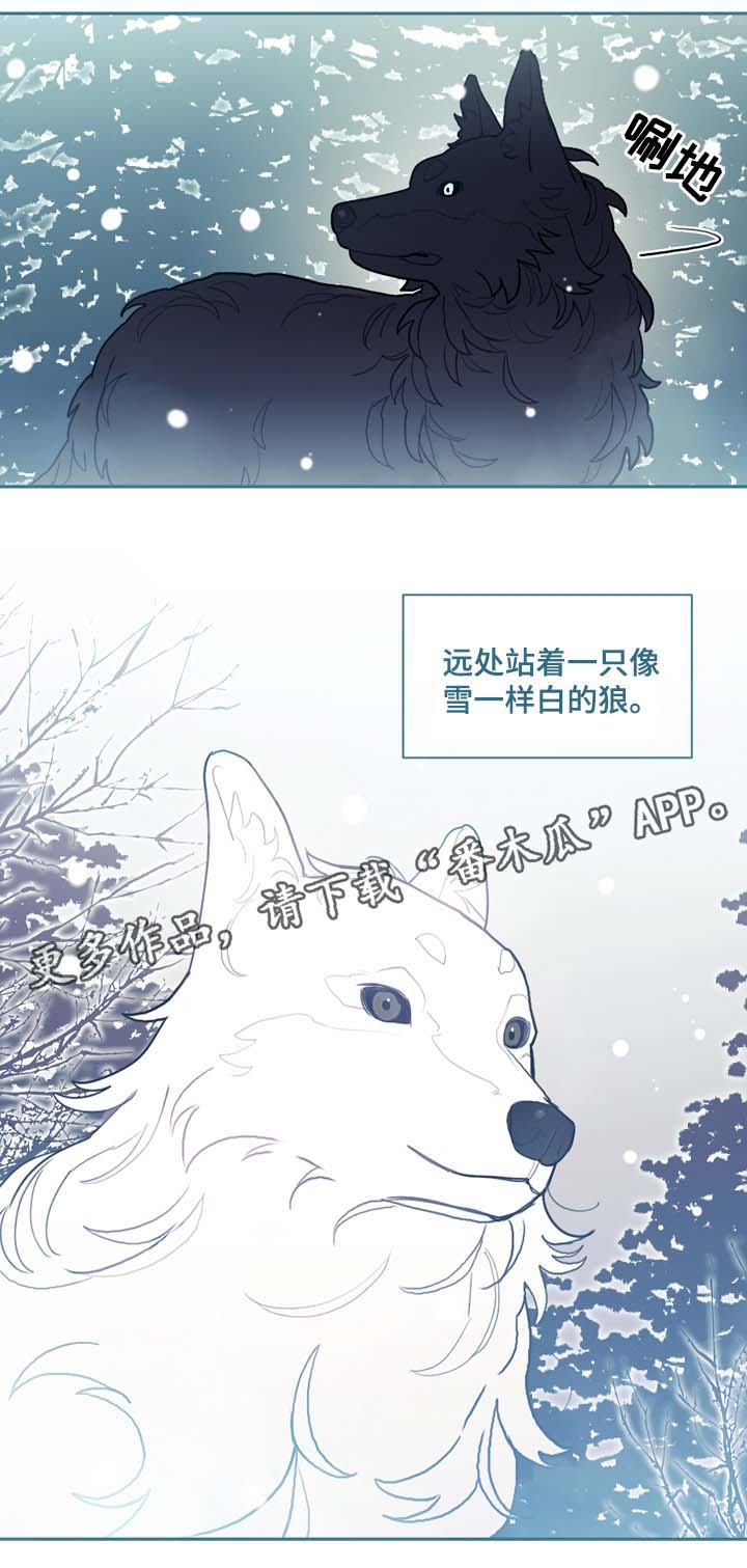 拯救神父漫画,第48章：别太过火了3图