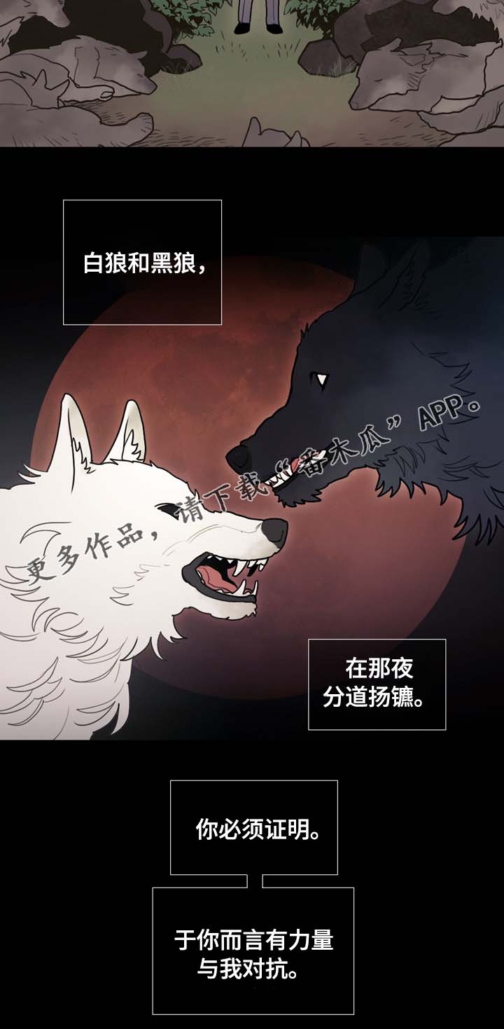 拯救神父漫画,第65章：白狼2图