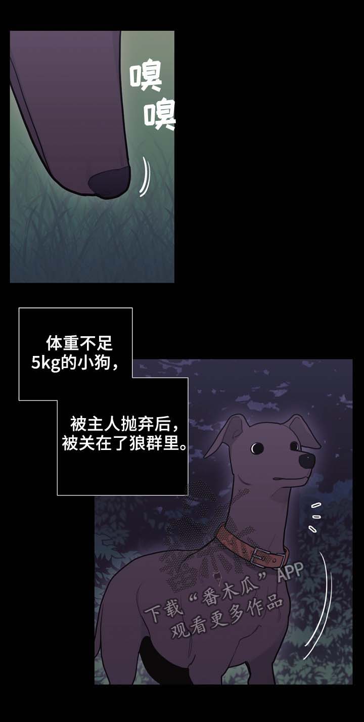 拯救神父漫画,第97章：搜查兵4图