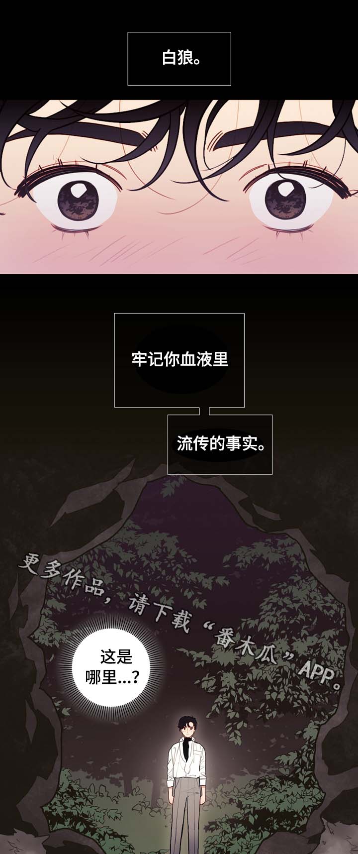 拯救神父漫画,第65章：白狼1图