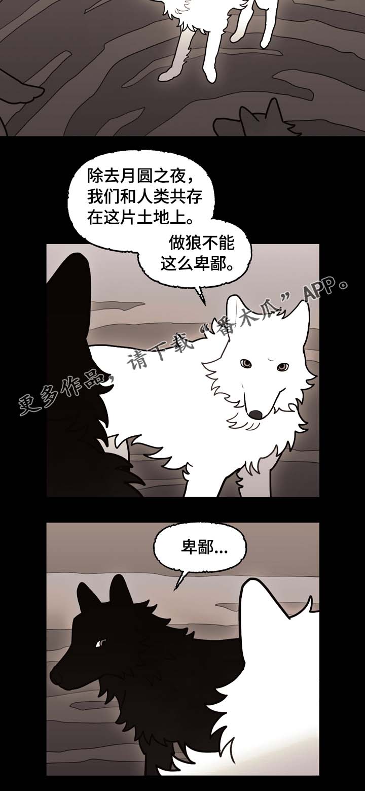 拯救神父漫画,第66章：狼族秘辛3图