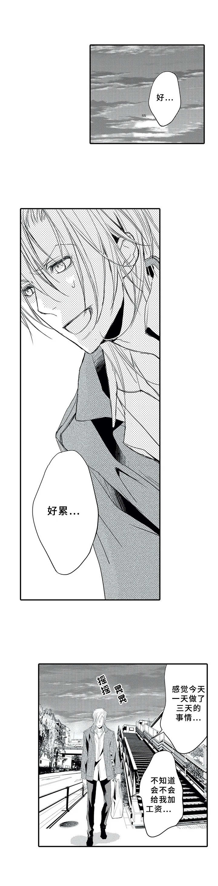 第11章：当成傻瓜2