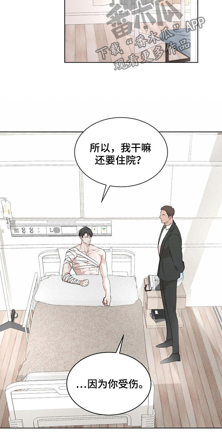 万物起源漫画,第113章：【第二季】怀孕5图