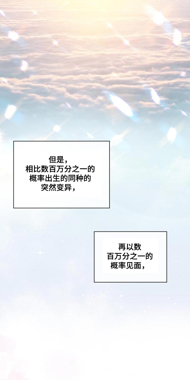 万物起源漫画,第154章：【番外】白头偕老的重量1图