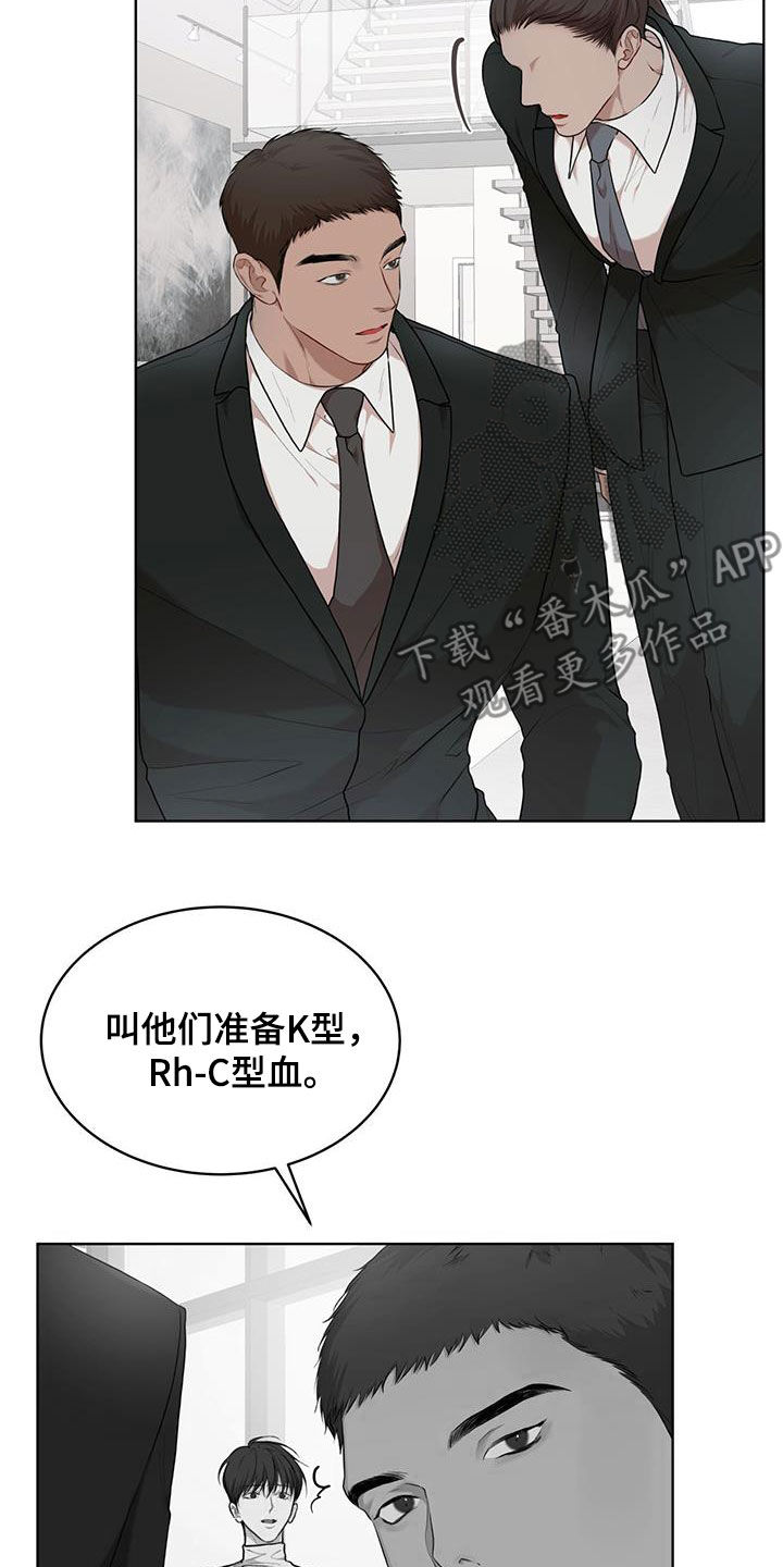 万物起源漫画,第113章：【第二季】怀孕4图