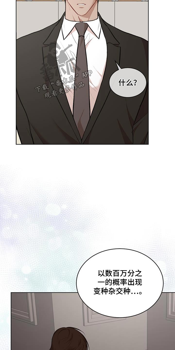 万物起源漫画,第137章：【番外】奇迹3图