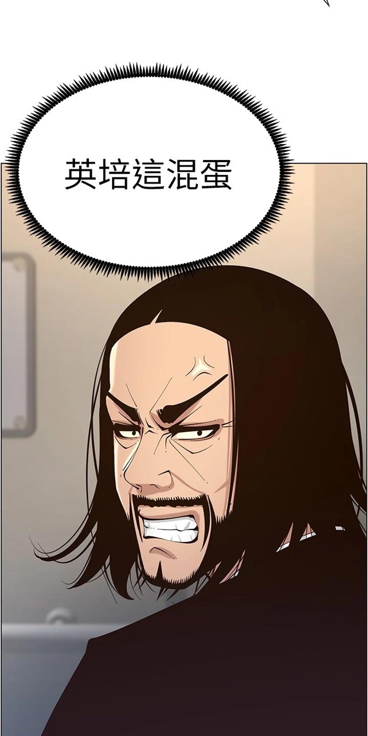 假爸爸在线免费观看漫画,第238章：逮捕5图