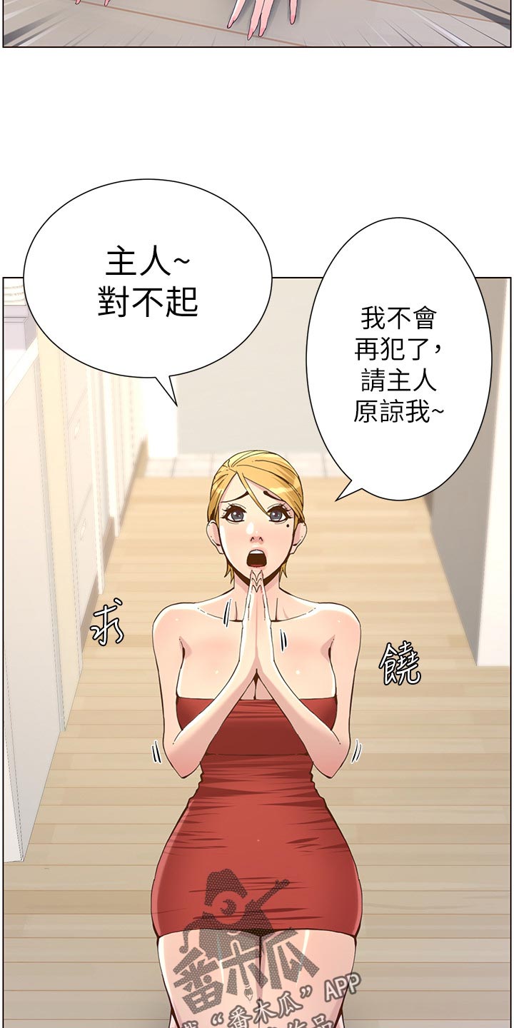 假爸爸漫画,第150章：速战速决2图