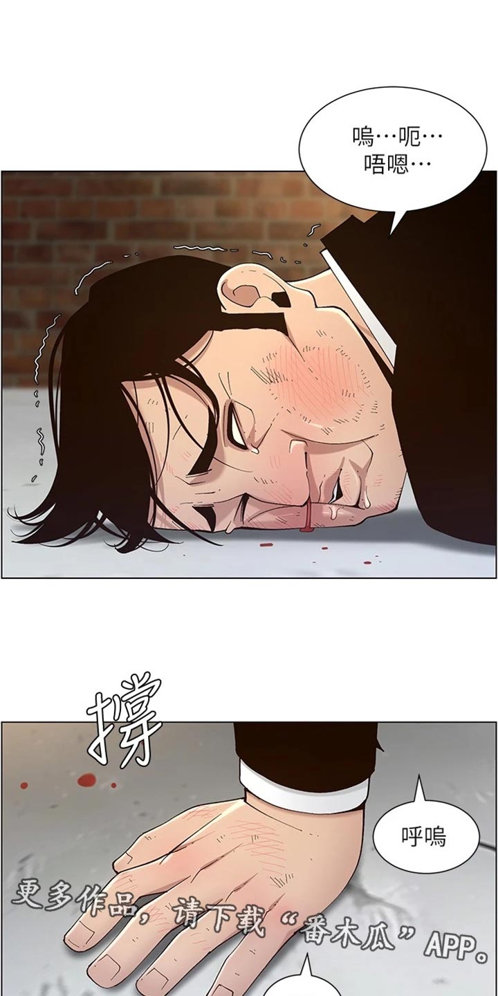 假爸爸电影在线观看完整免费高清观看漫画,第240章：结婚【完结】1图