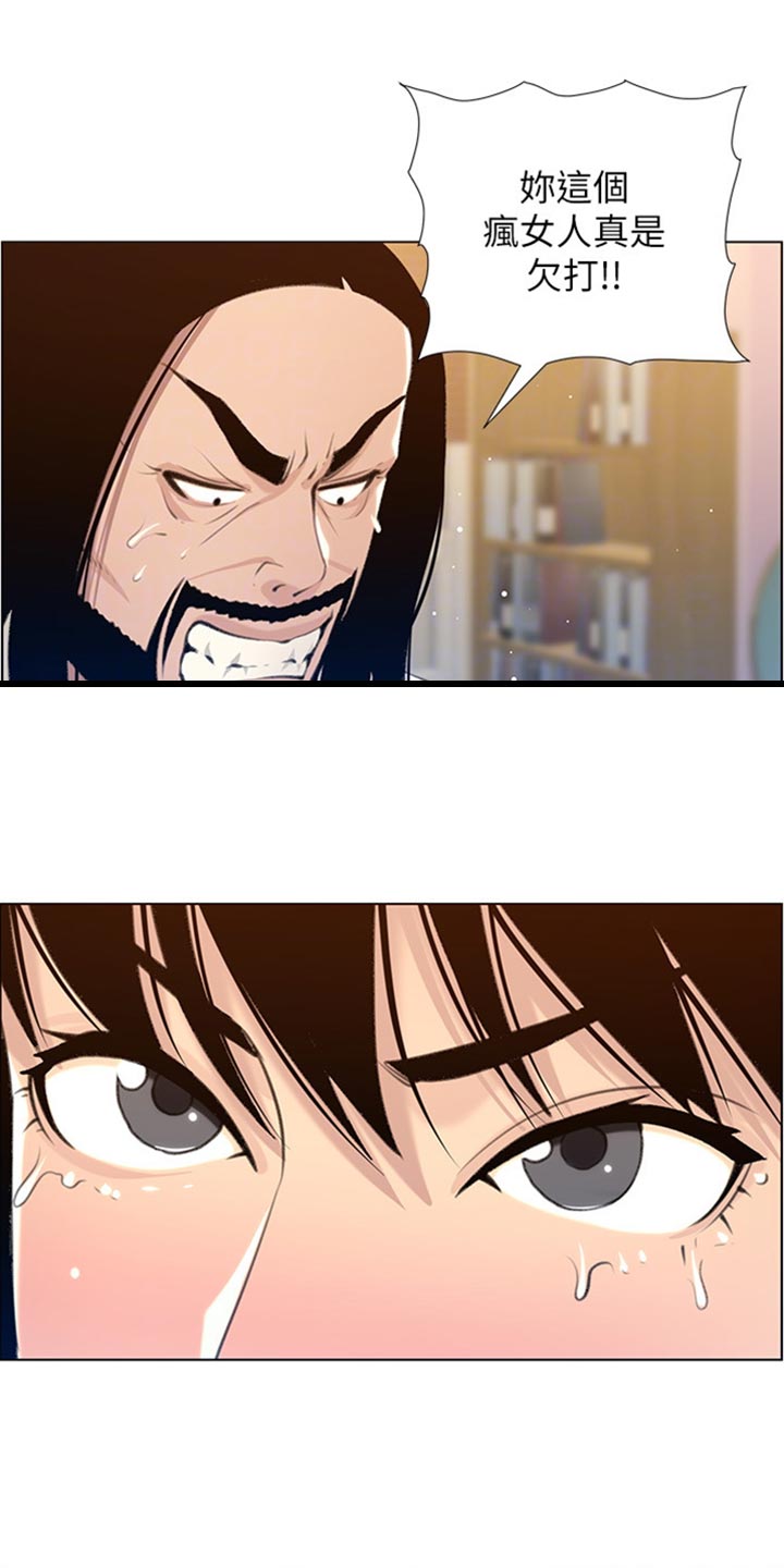 假爸爸在线免费观看漫画,第209章：威胁4图