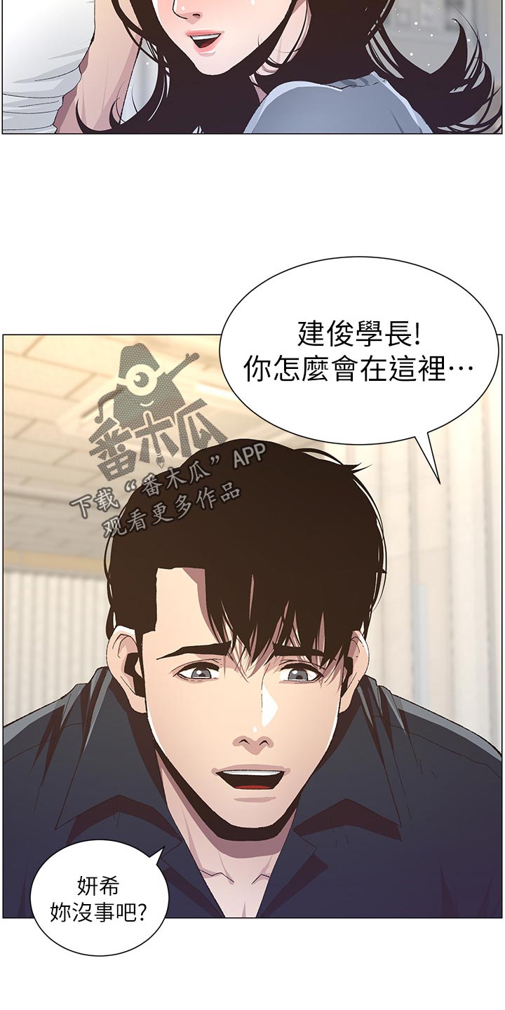 假爸爸国语版免费观看漫画,第84章：打招呼4图