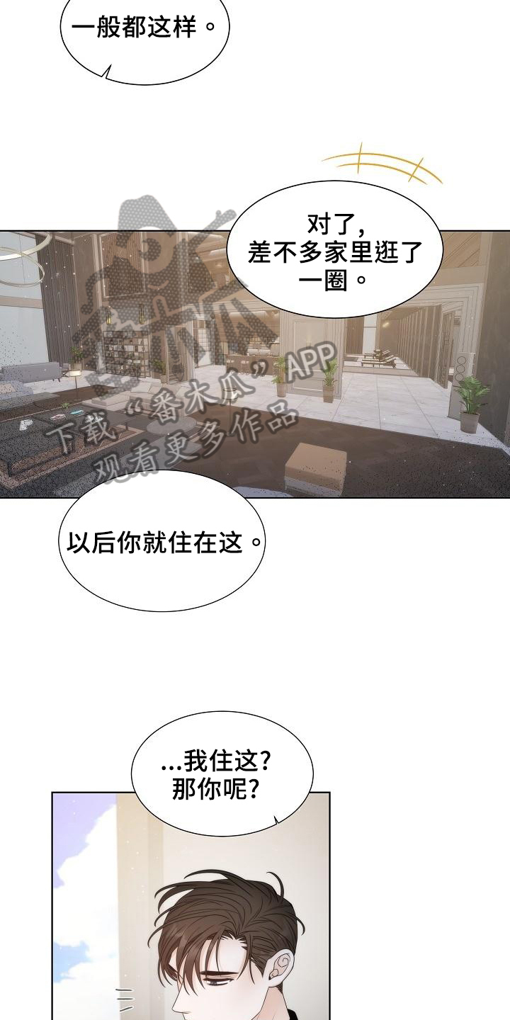 失窃的宝物漫画,第38章：【第二季】安排4图