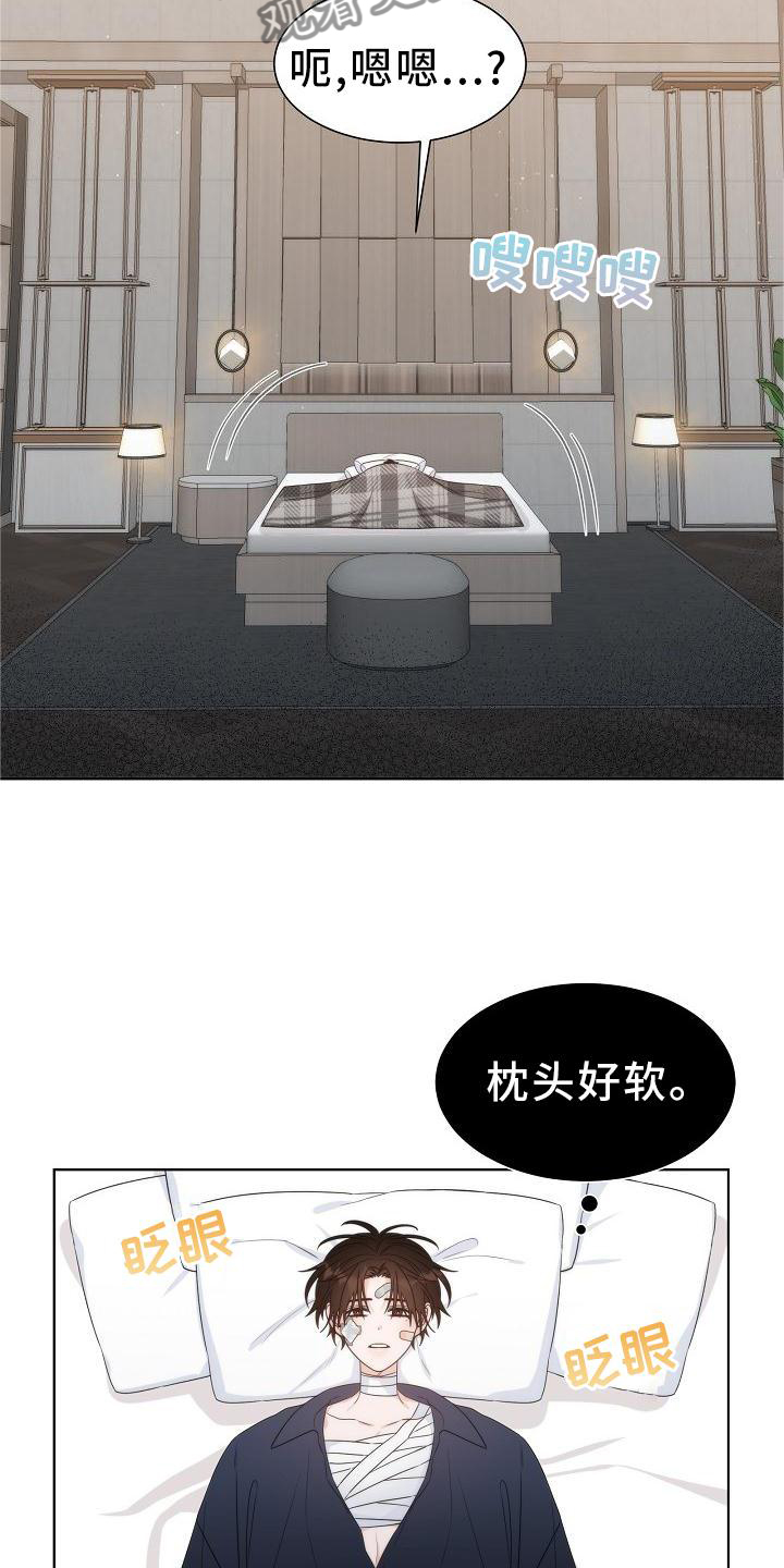 失窃的宝物漫画,第34章：【第二季】小松鼠3图