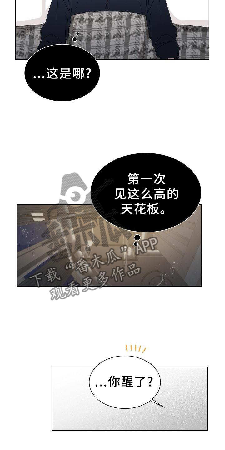 失窃的宝物漫画,第34章：【第二季】小松鼠4图