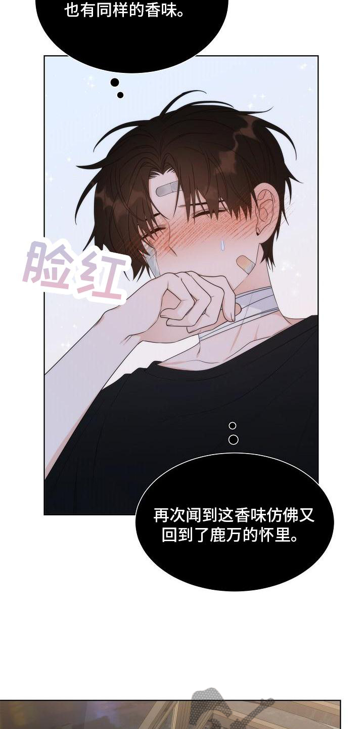 失窃的宝物漫画,第36章：【第二季】回报2图