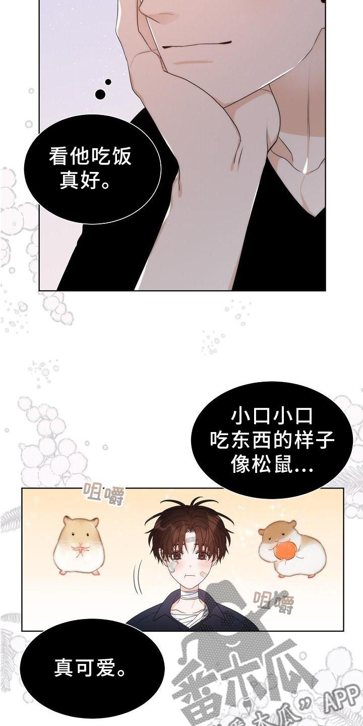 失窃设备保护怎么开启漫画,第34章：【第二季】小松鼠4图